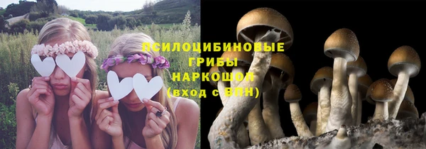 герыч Осинники