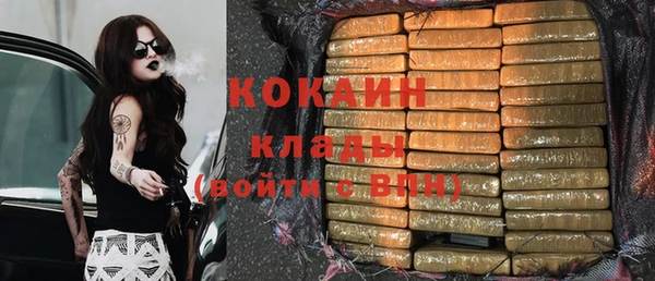 метадон Няндома