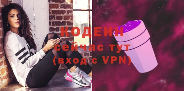 метадон Няндома