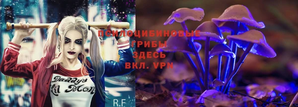 MDMA Premium VHQ Нязепетровск