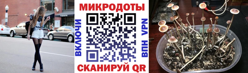 Псилоцибиновые грибы мухоморы  купить наркоту  KRAKEN как войти  Нижний Ломов 